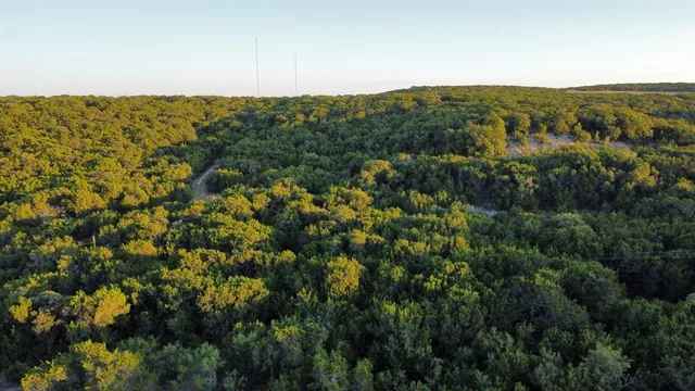 a view of a city with lush green forest