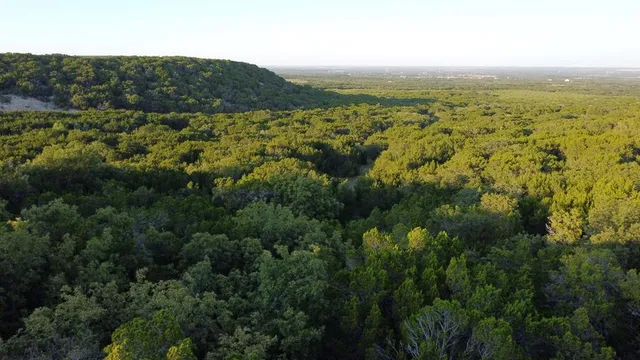 an aerial view of residential houses with outdoor space and trees