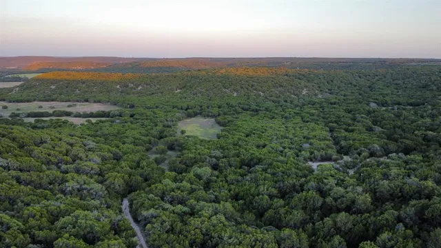 an aerial view of green landscape with trees houses and mountain view