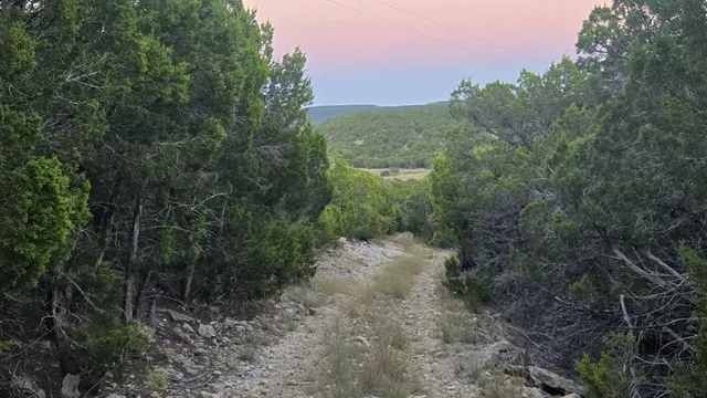 a view of a yard with a street