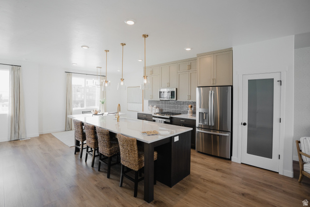 2012 West 1150 South, Unit 1018 Payson, UT 84651 - Photo 2 of 25 Kitchen with stainless steel appliances, a kitchen island with sink, dark wood-style floors, light stone countertops, and a breakfast bar area