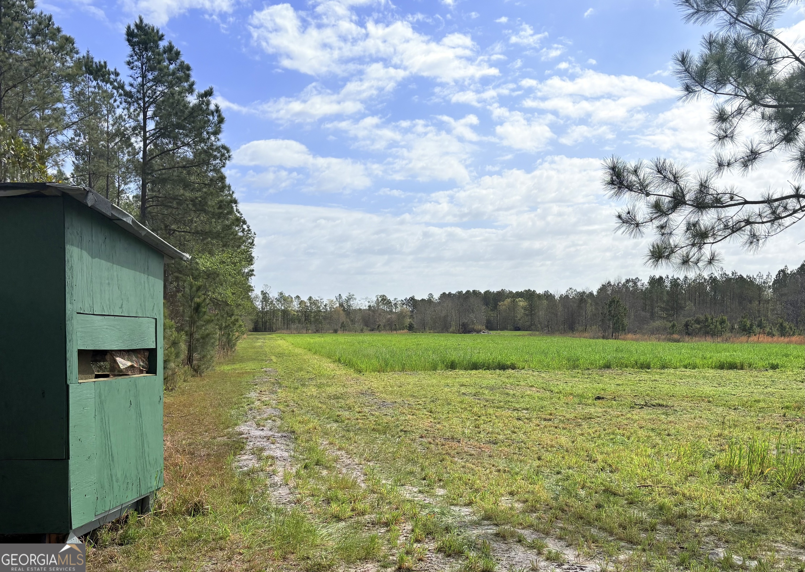 0 Sandy Creek Road Irwinton, GA 31042 - Photo 21 of 31