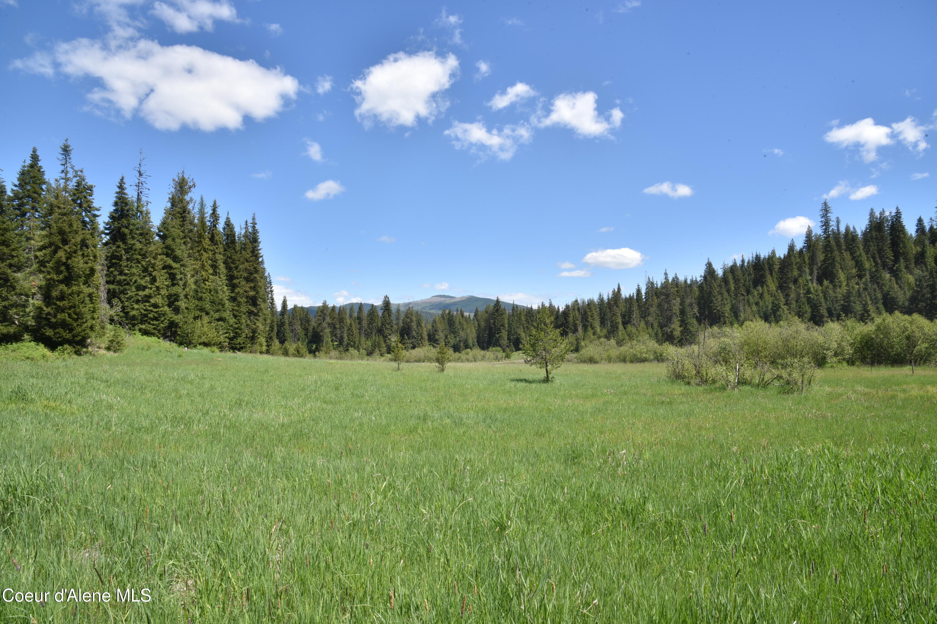 Nna Carpenter Creek Road Fernwood, ID 83830 - Photo 2 of 13 2