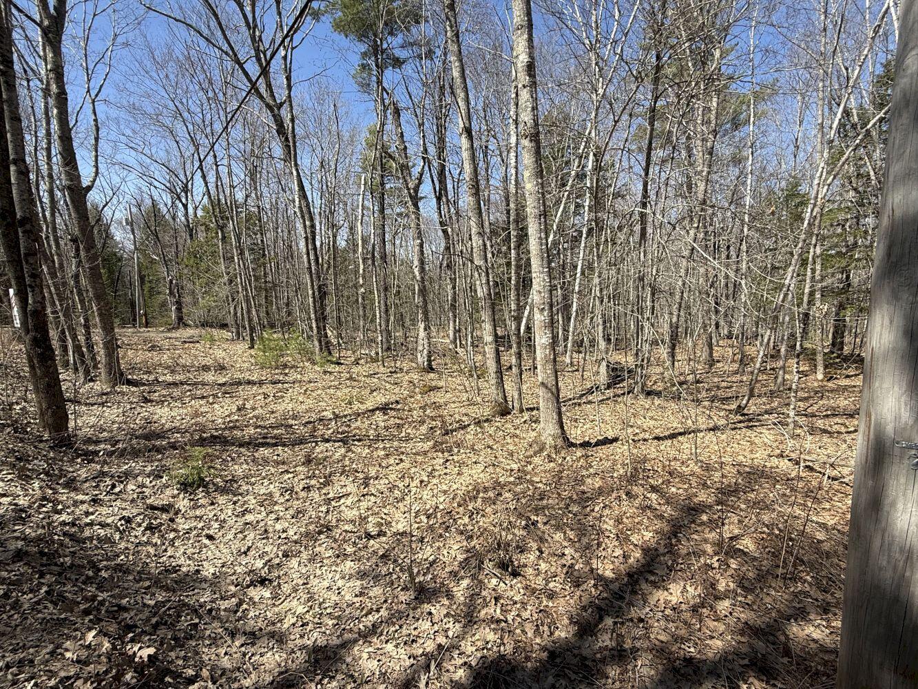M14-l39 Sandy Point Road Vassalboro, ME 04989 - Photo 3 of 6