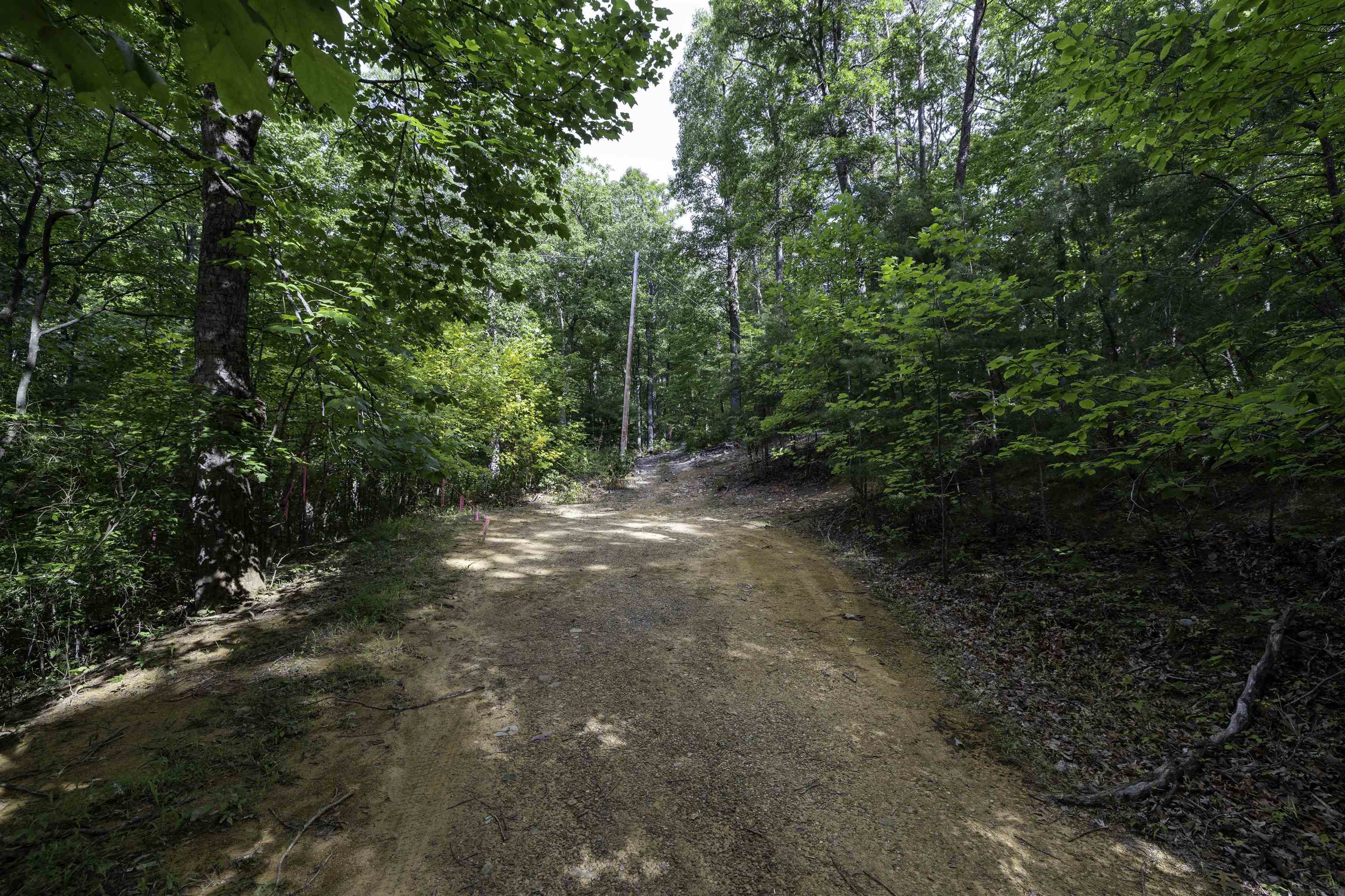 0 Ridge Road Luray, VA 22835 - Photo 3 of 27 Gallery Image 3