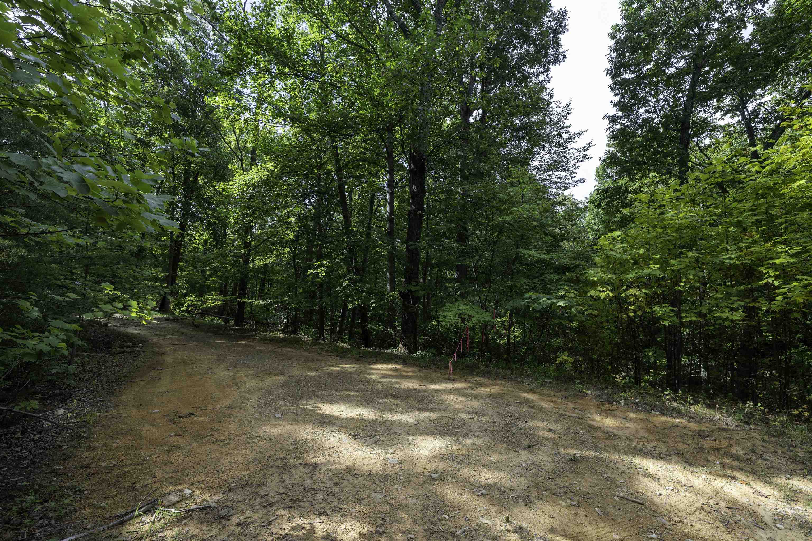 0 Ridge Road Luray, VA 22835 - Photo 4 of 27 Gallery Image 4