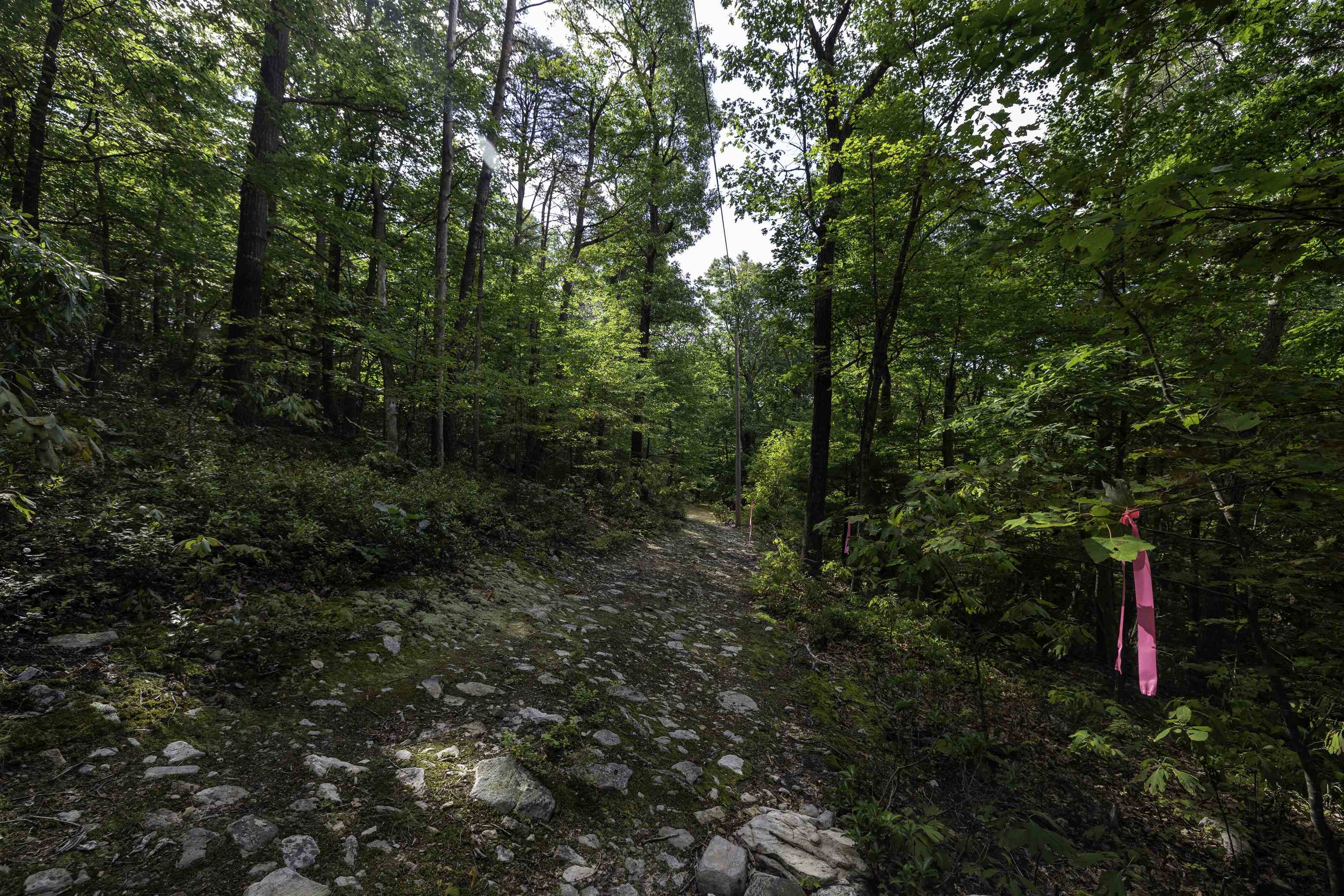 0 Ridge Road Luray, VA 22835 - Photo 9 of 27 Gallery Image 9