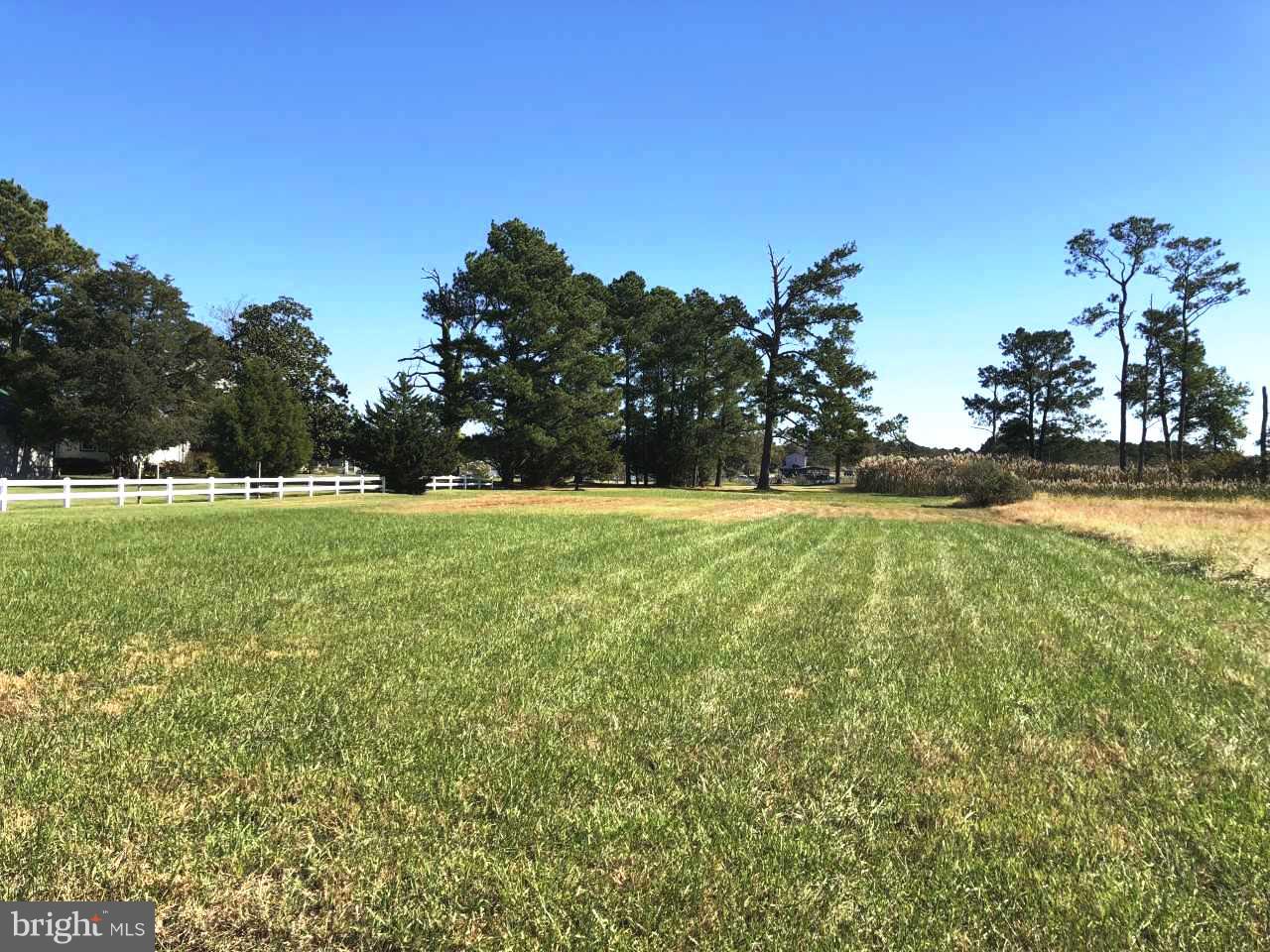 0 Annie Hyland Road Princess Anne, MD 21853 - Photo 8 of 10