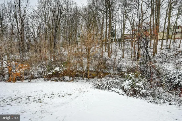 a view of a yard covered in snow