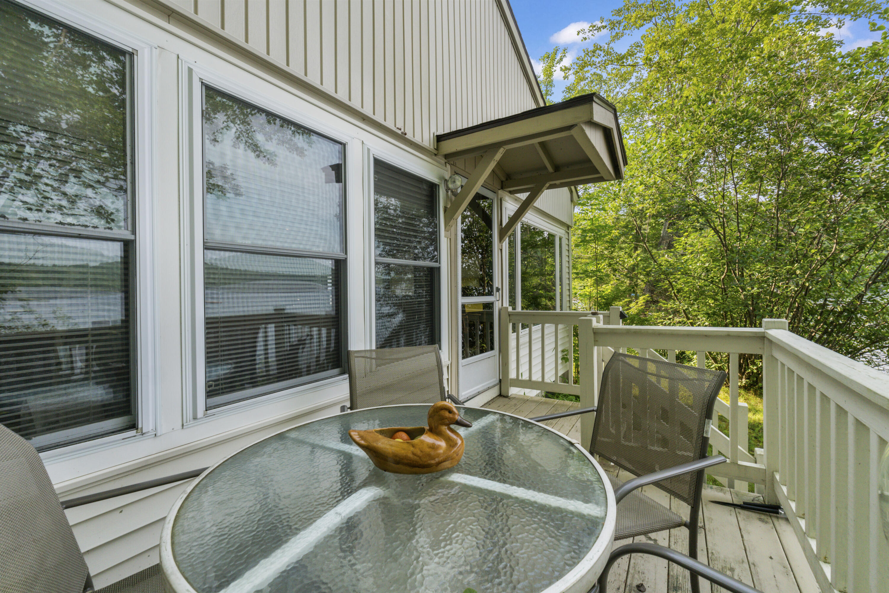 6 Plummer Drive Raymond, ME 04071 - Photo 30 of 47 Front Deck