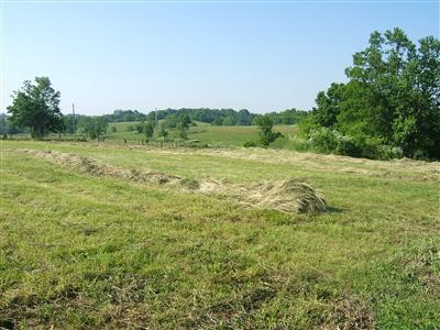 10 Cedar Road Stamping Ground, KY 40379 - Photo 4 of 5 Photo 4