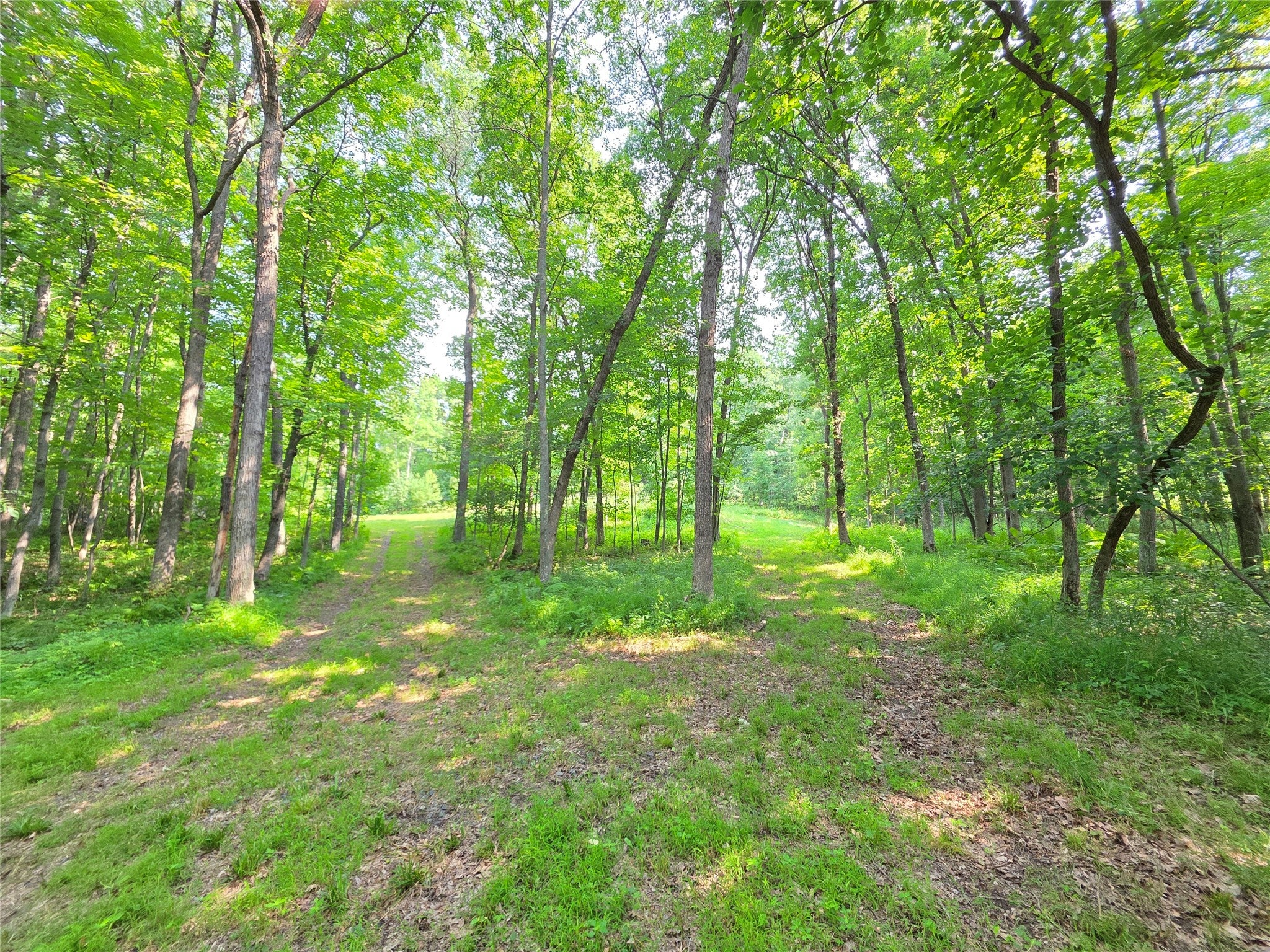 Lot 0 County Road Colfax, WI 54730 - Photo 8 of 25 Gallery Image 8