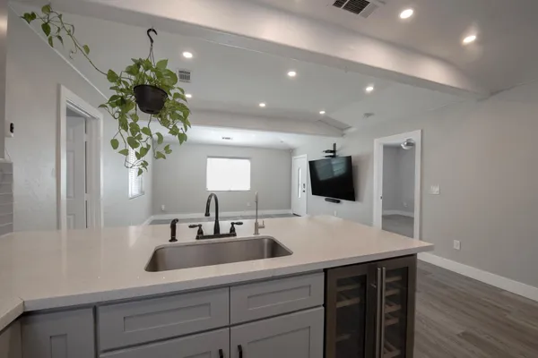 a kitchen with a sink and potted plant