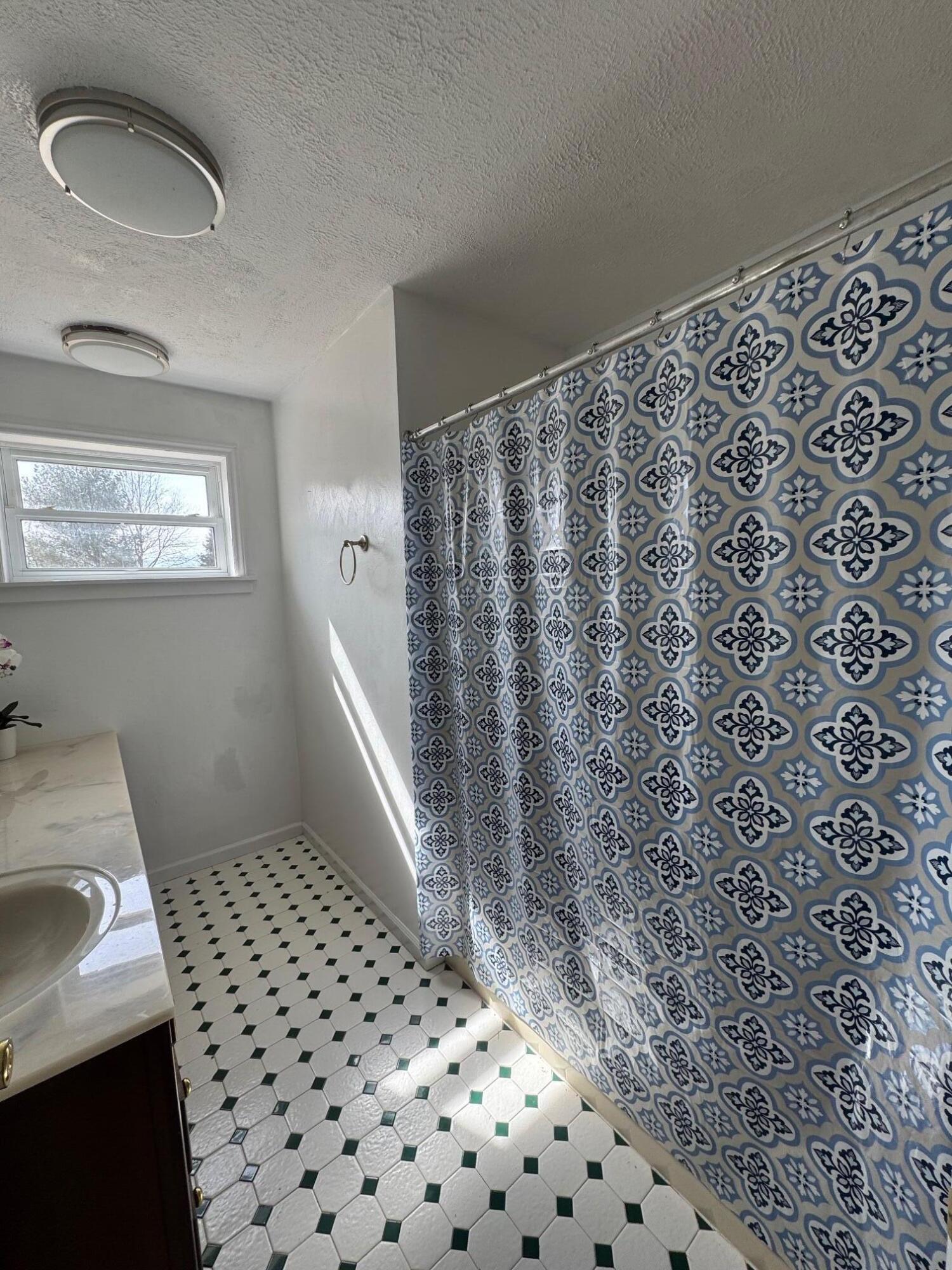 2555 Morgans Mill Road Goodview, VA 24095 - Photo 106 of 114 Shower entry level