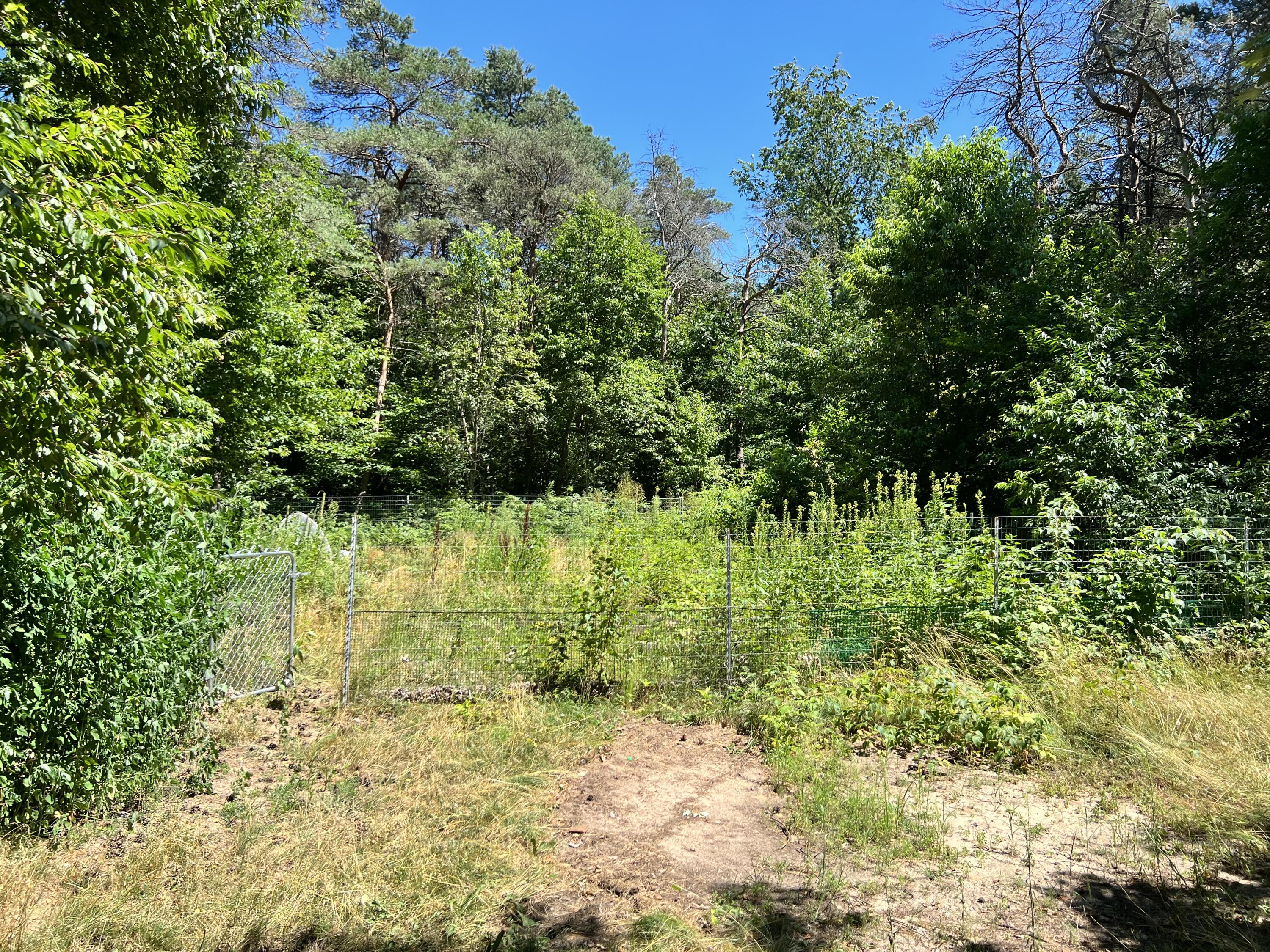 4197 South 39 Road Cadillac, MI 49601 - Photo 6 of 19 Photo Jul 21, 2 23 53 PM