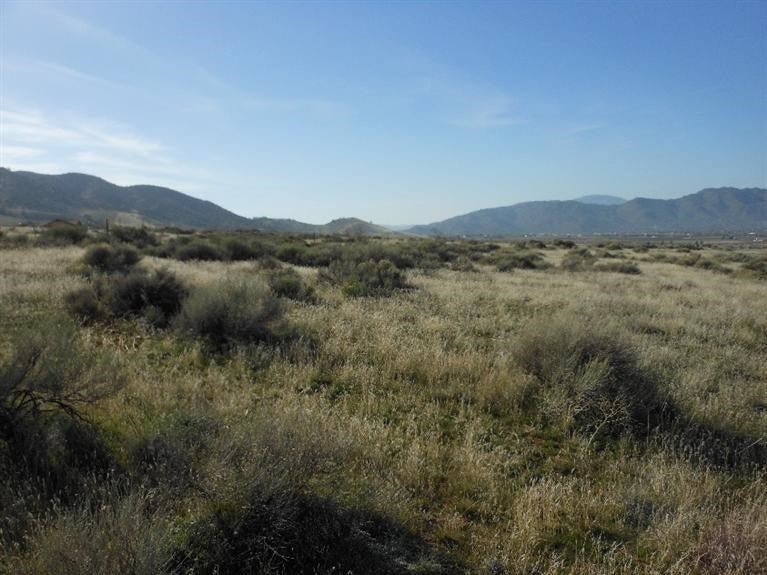 0 Comanche Tehachapi, CA 93561 - Photo 8 of 20 Gallery Image 8