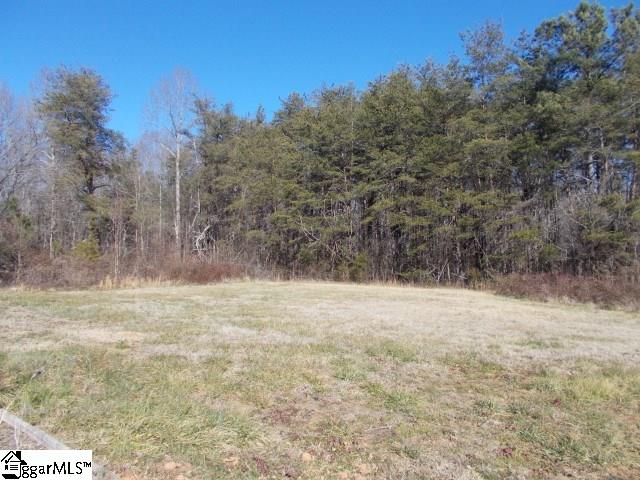 3412 Jug Factory Road Greer, SC 29651 - Photo 19 of 19