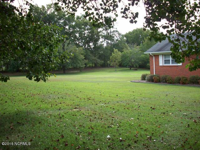 2534 Wire Grass Road Lumberton, NC 28358 - Photo 3 of 20 3 yard