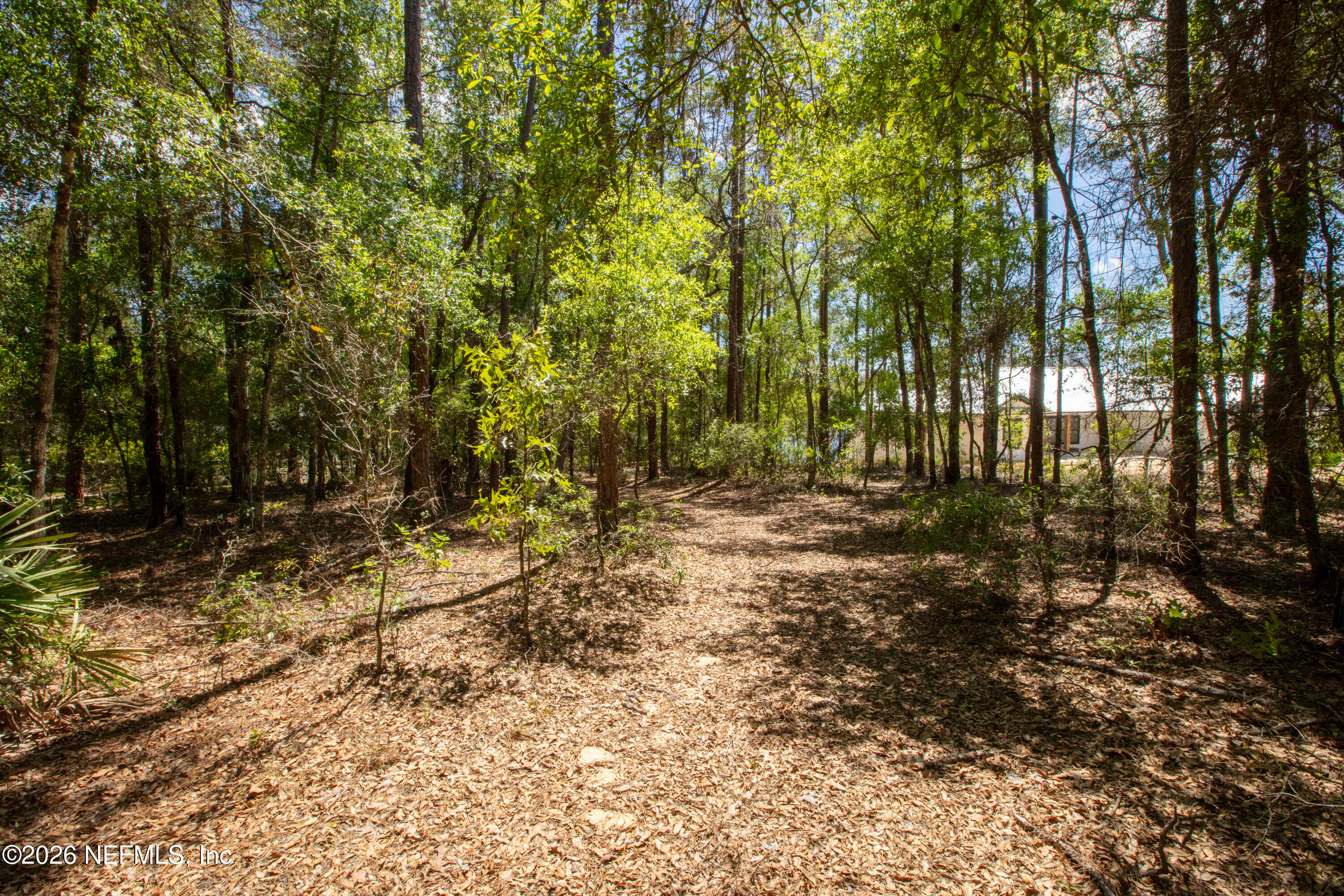 111 Gator Trail Melrose, FL 32666 - Photo 2 of 11 a view of backyard with tree