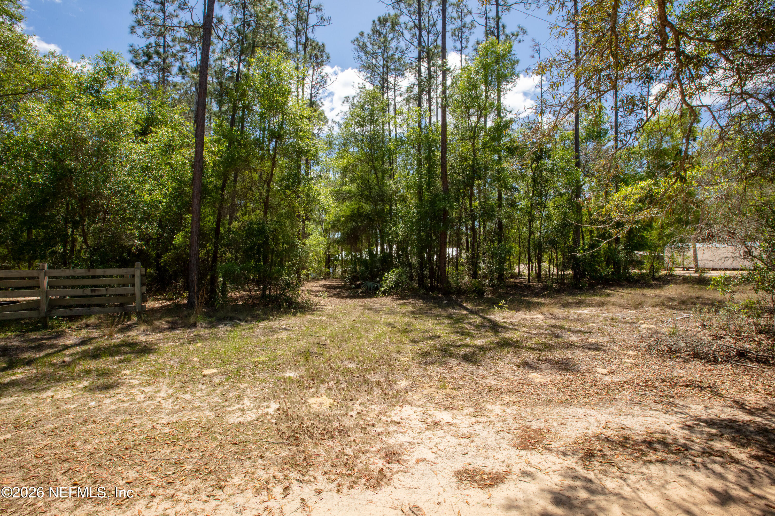 111 Gator Trail Melrose, FL 32666 - Photo 3 of 11 a view of backyard with green space