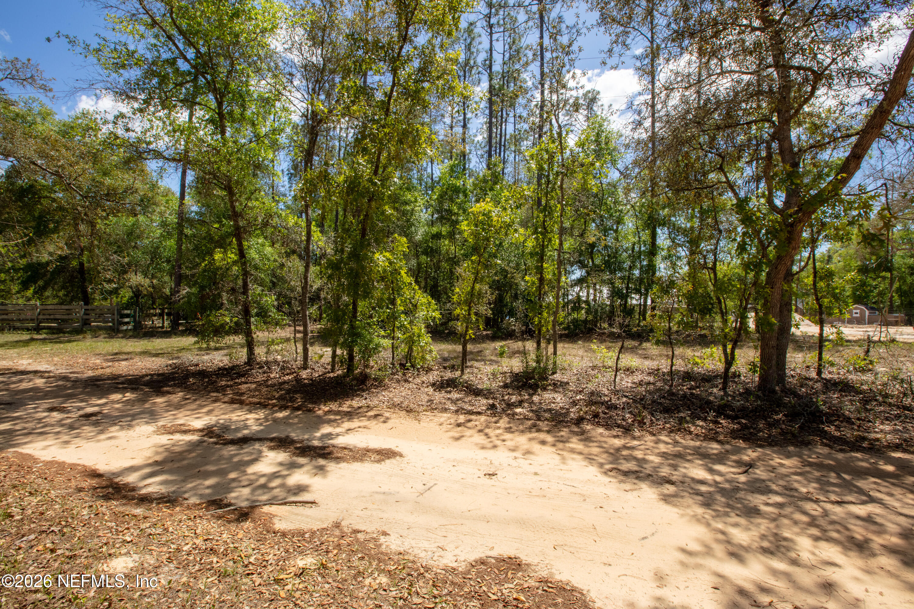 111 Gator Trail Melrose, FL 32666 - Photo 4 of 11 a backyard of a house with lots of green space
