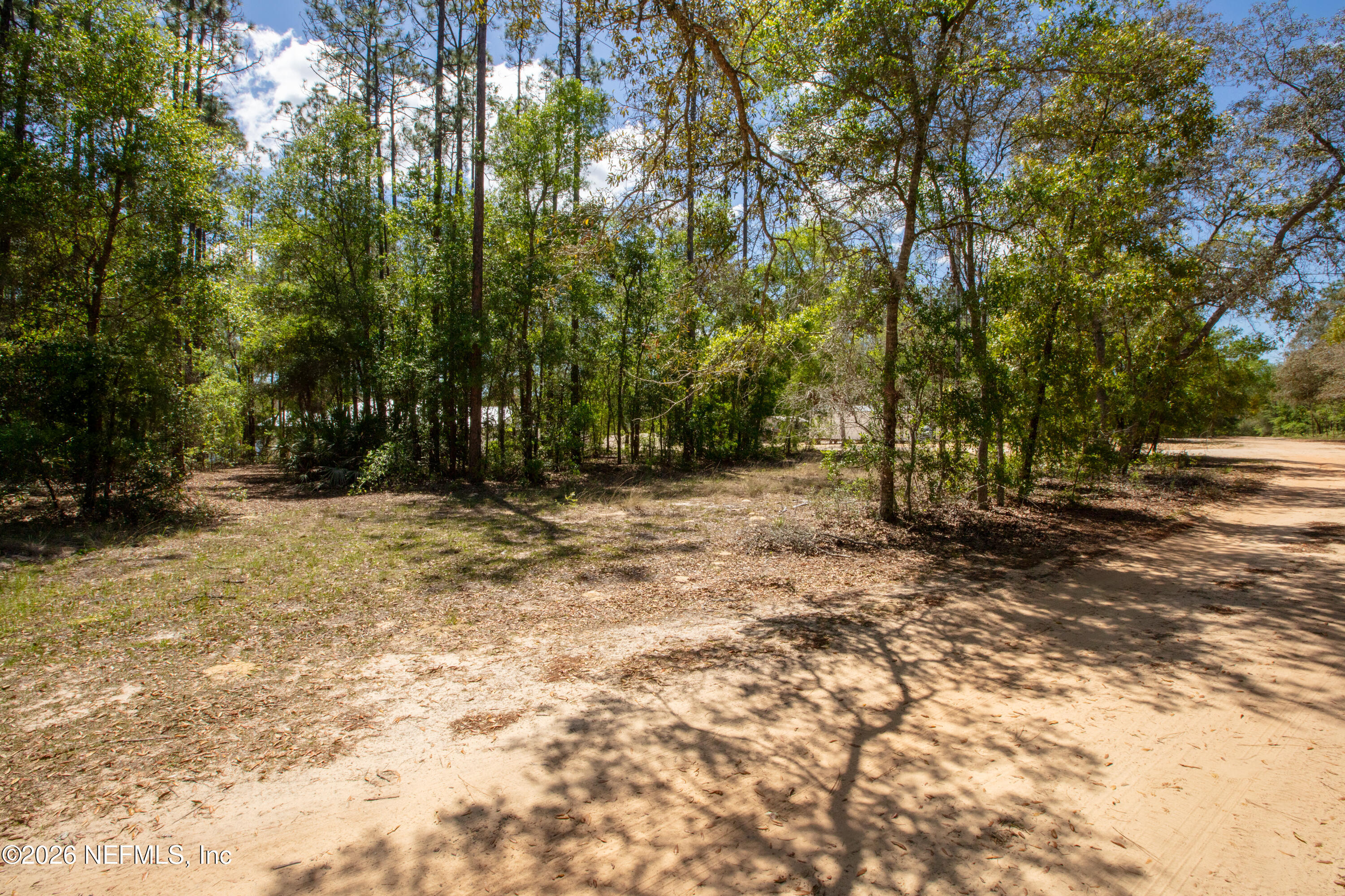 111 Gator Trail Melrose, FL 32666 - Photo 5 of 11 a view of outdoor space with trees