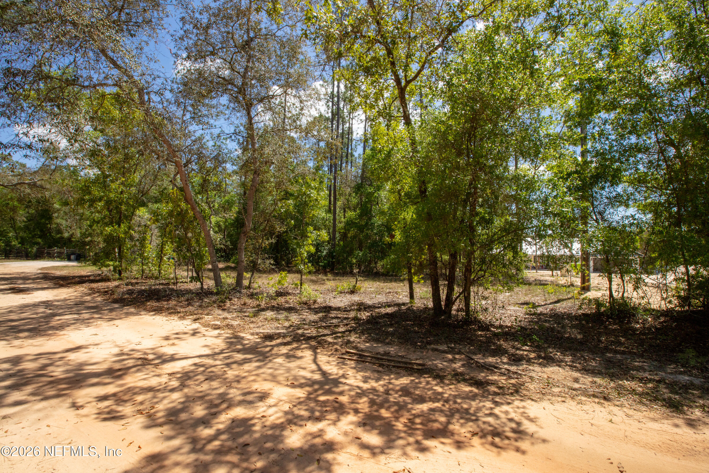 111 Gator Trail Melrose, FL 32666 - Photo 7 of 11 a view of a tree in the middle of a yard
