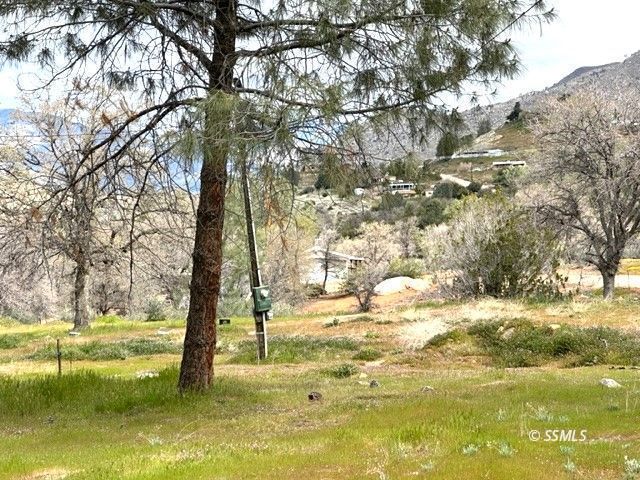 1711 Bodfish Canyon Road Bodfish, CA 93205 - Photo 6 of 15