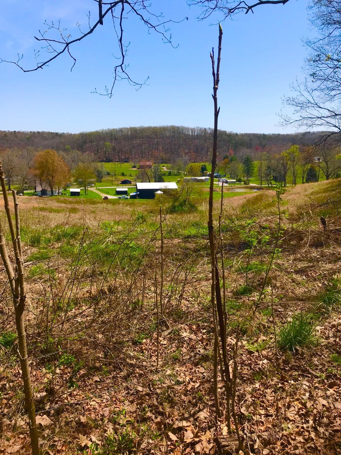 1 Donohue Road Owingsville, KY 40360 - Photo 3 of 9 Photo 3