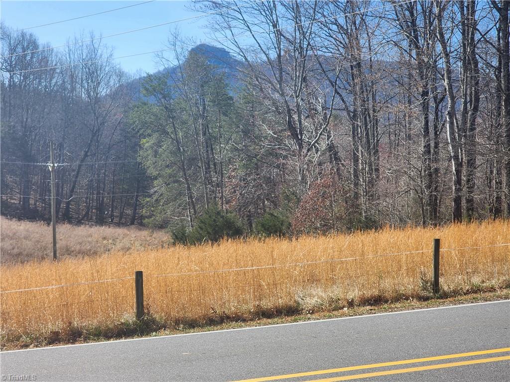 0 Golf Course Road Pilot Mountain, NC 27041 - Photo 9 of 18 Over 5 acres pasture.