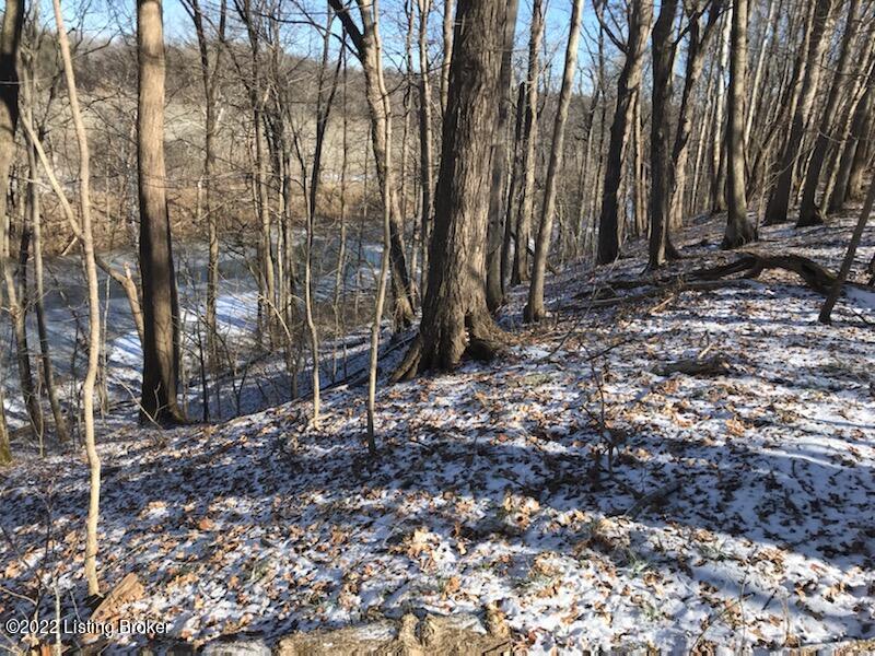 Lot 17 Brashears Point Road Taylorsville, KY 40071 - Photo 30 of 30 42F3ADA1-D944-477D-A2E9-83FDF89316F4