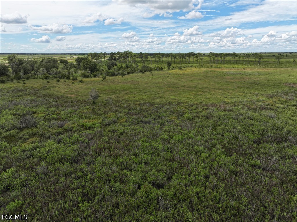 0 County Line Road East Bowling Green, FL 33834 - Photo 16 of 20