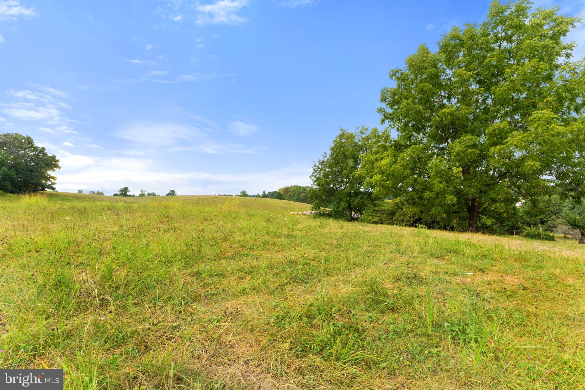16368 North Merrimac Road Culpeper, VA 22701 - Photo 39 of 59 Gallery Image 39
