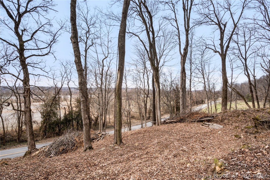 0 Rose Island Road Prospect, KY 40059 - Photo 9 of 28