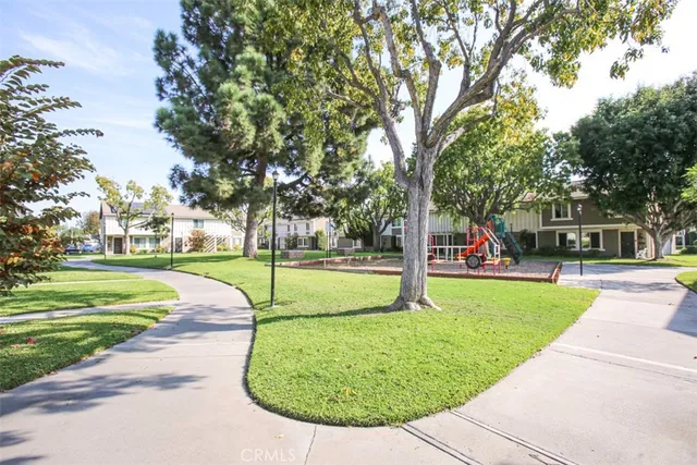 a view of a park with large trees