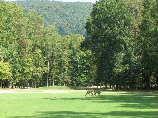 $10,000 | 0 Shadowick Mountain Road, Jasper, GA 30143