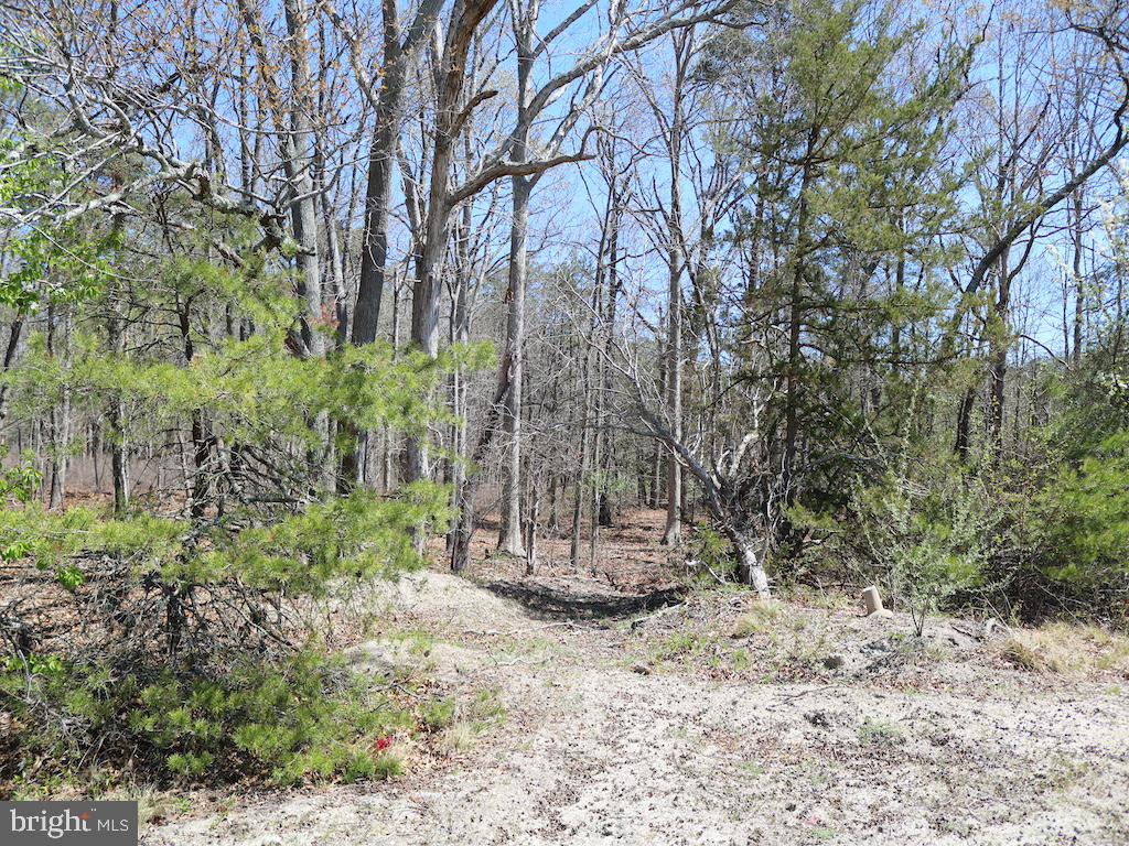 351 Shaws Mill Road Cedarville, NJ 08311 - Photo 77 of 84