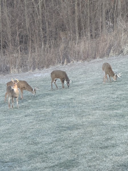 1200 James B Young Road Galva, IL 61434 - Photo 80 of 85