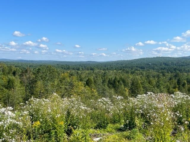 0 Granny Howe Road Chichester, NH 03258 - Photo 3 of 10