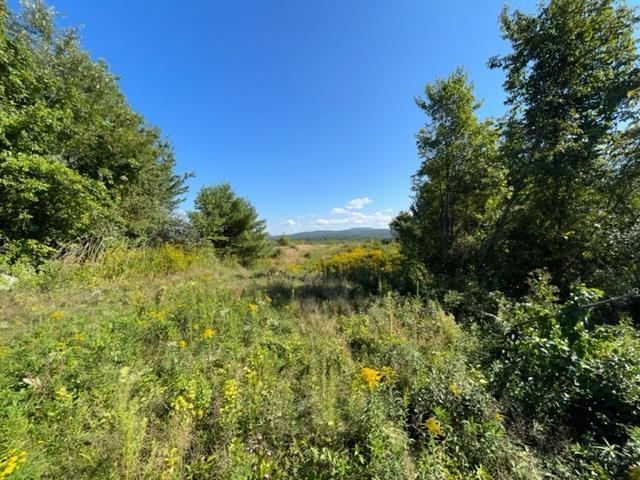 0 Granny Howe Road Chichester, NH 03258 - Photo 5 of 10