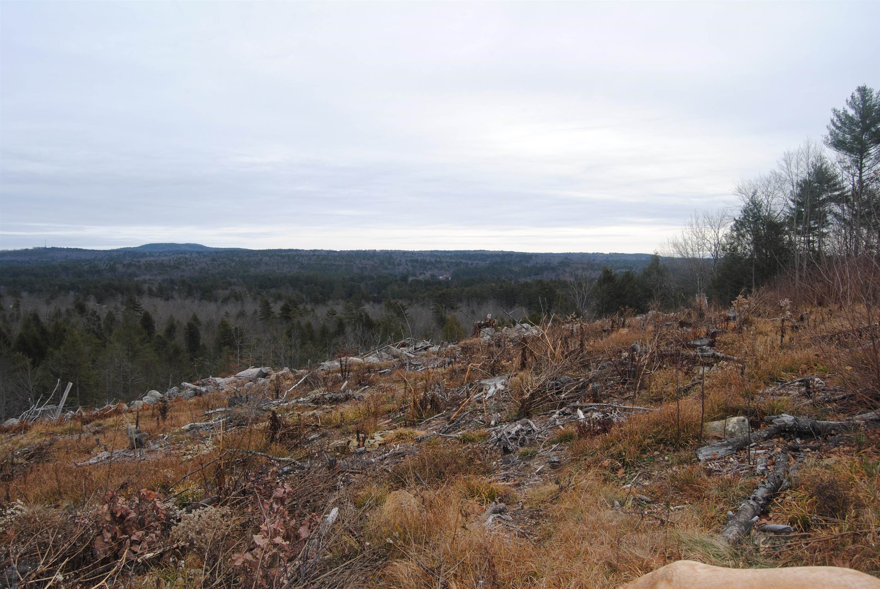 0 Granny Howe Road Chichester, NH 03258 - Photo 10 of 10