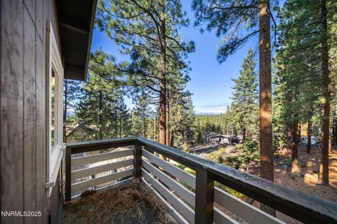 a view of trees from a balcony