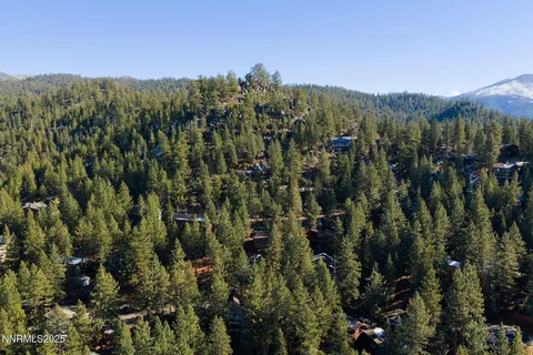 a view of a city with lush green forest