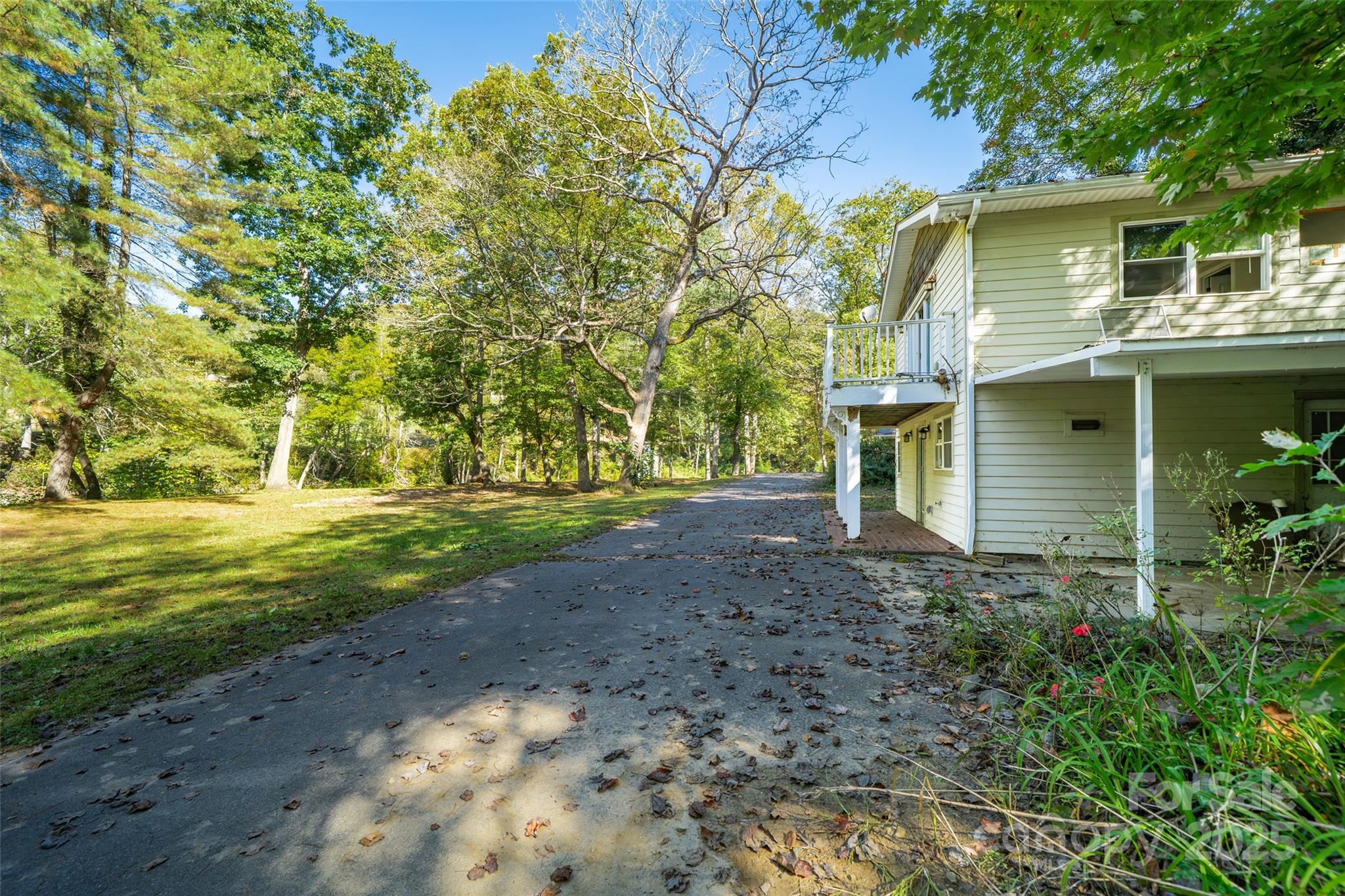 61 Riverbend Street Canton, NC 28716 - Photo 2 of 24 a view of a yard in front of a house with large trees