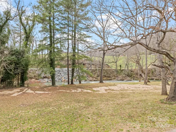a view of a yard with trees