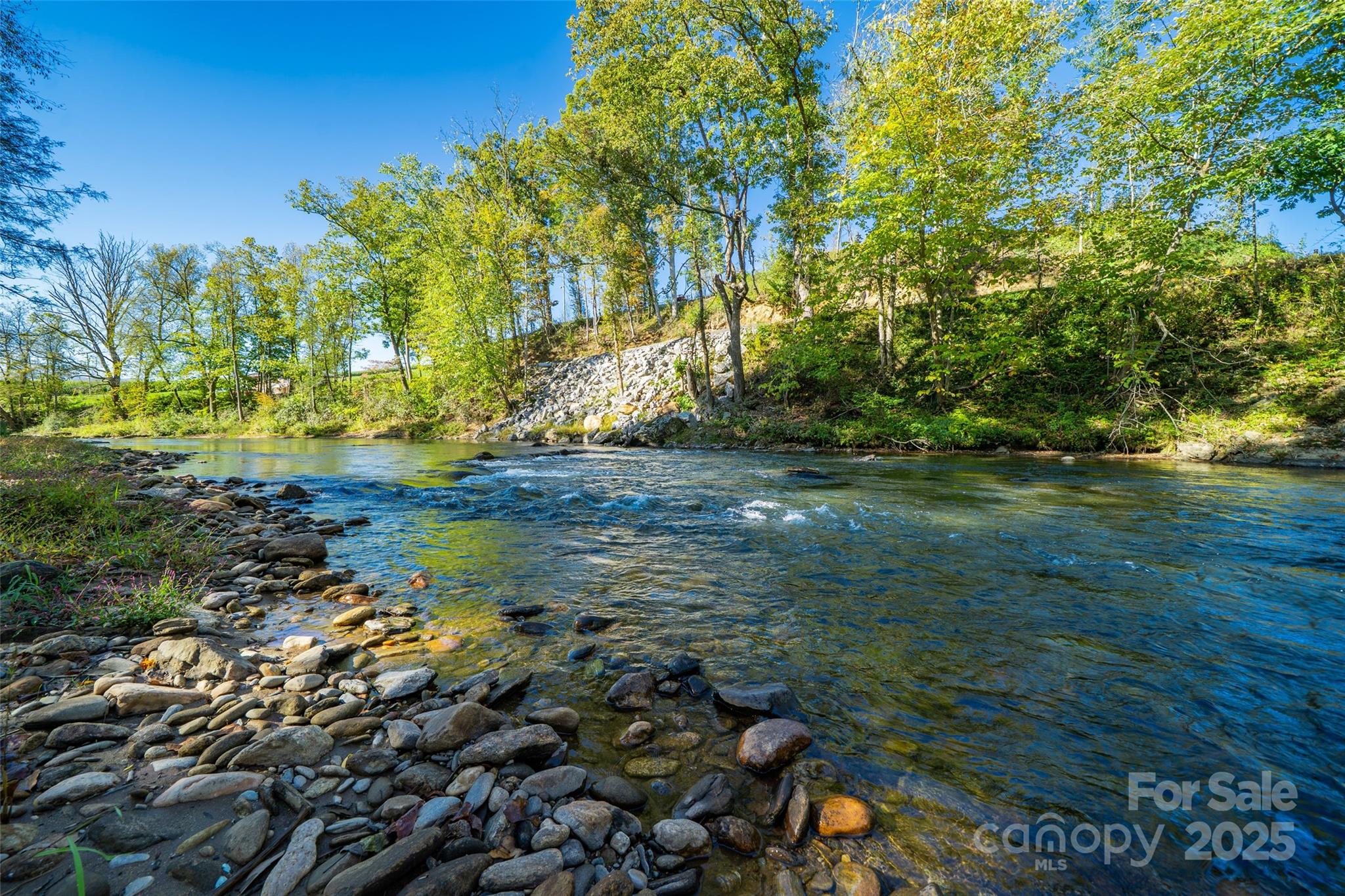 61 Riverbend Street Canton, NC 28716 - Photo 9 of 24 a backyard of a house with lots of green space