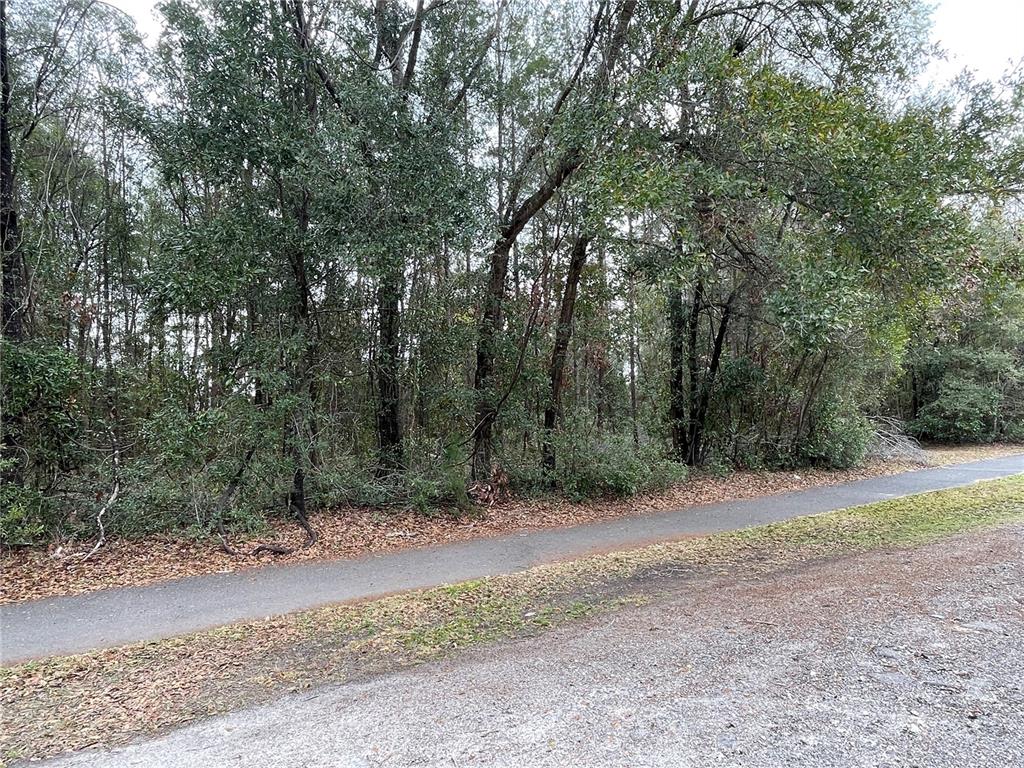 8717 Southwest Archer Road Gainesville, FL 32608 - Photo 17 of 26 a view of road with trees