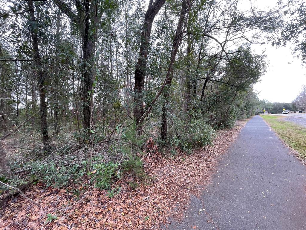 8717 Southwest Archer Road Gainesville, FL 32608 - Photo 22 of 26 a view of a forest with trees