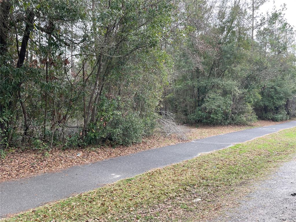 8717 Southwest Archer Road Gainesville, FL 32608 - Photo 24 of 26 a view of a yard with plants and trees