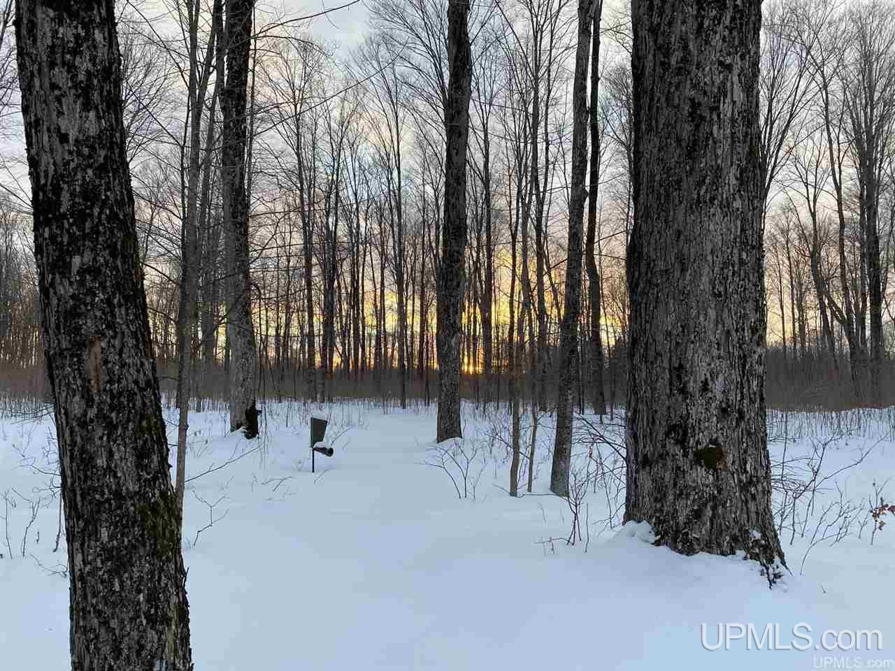 5998 East Maple Ridge 37th Road Rock, MI 49880 - Photo 38 of 50